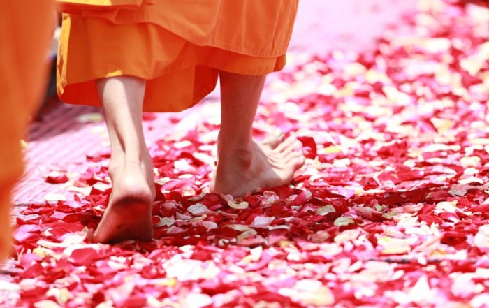Questions and answers-Motivation-to-practice-monk-walking-through-rose-petals-monk-458491 Sri Avinash's answers to spiritual seekers questions - motivation to do spiritual practice