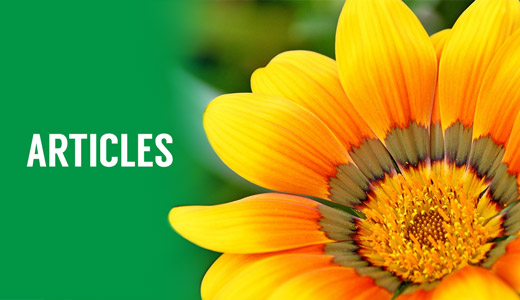 Articles for your wellbeing