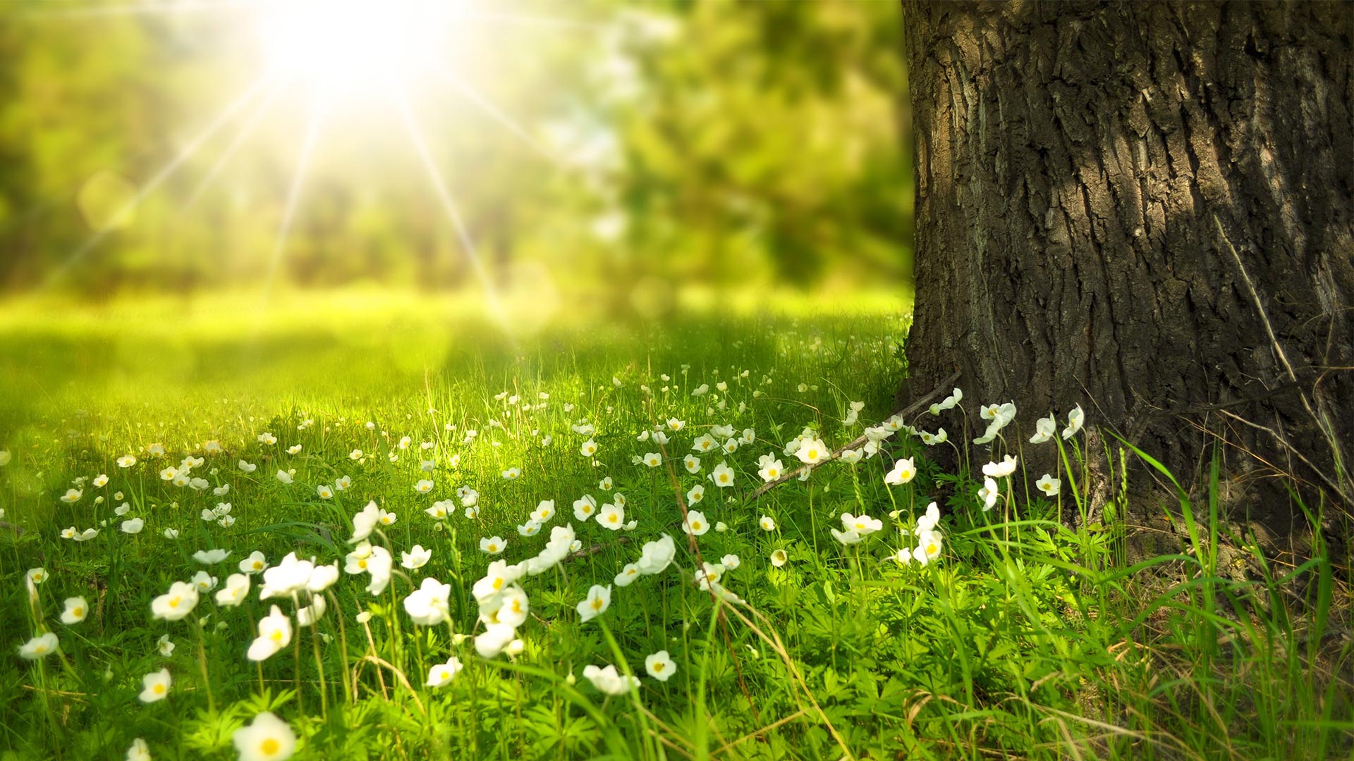Article: A Taste of Gratefulness to Transform Your Life