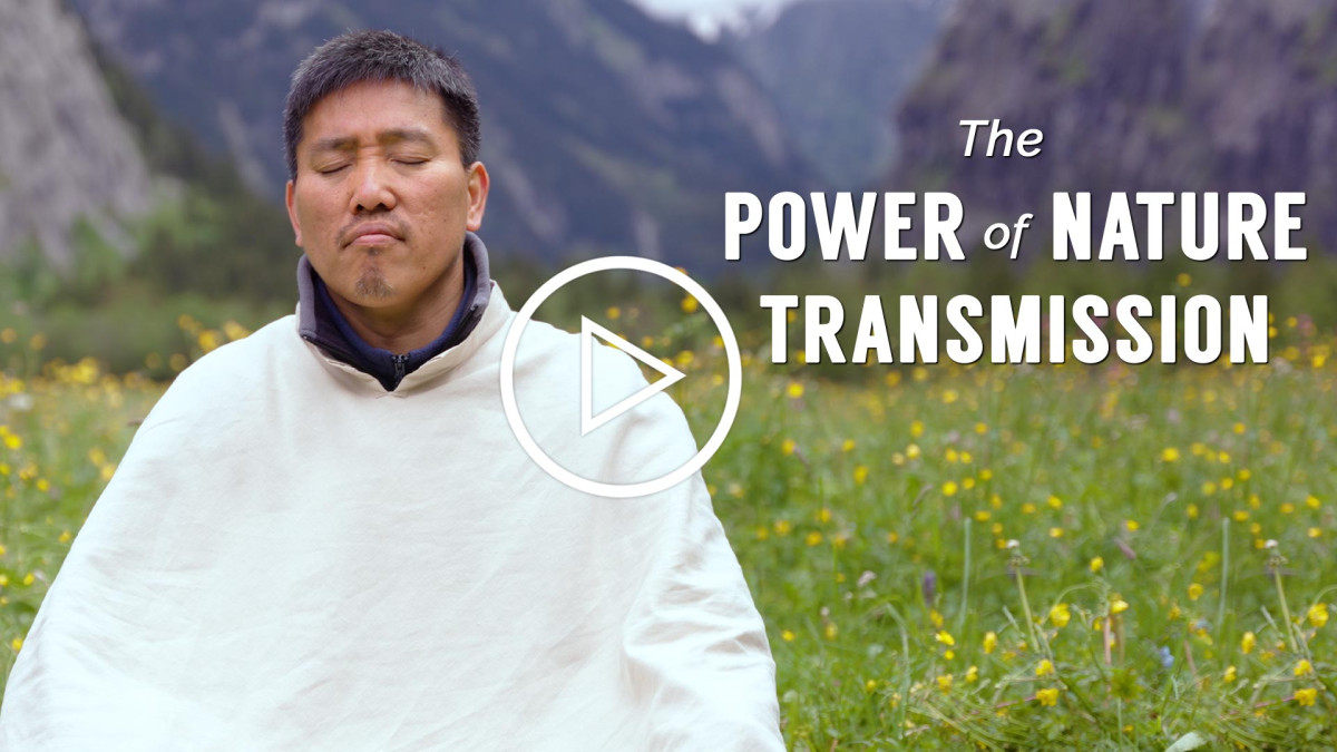 The Power of Nature Transmission - Divine Transmission with Master Sri Avinash